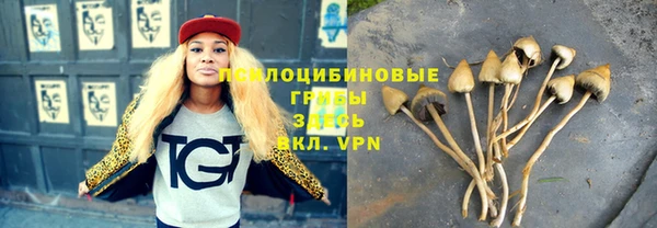 бошки Кукмор