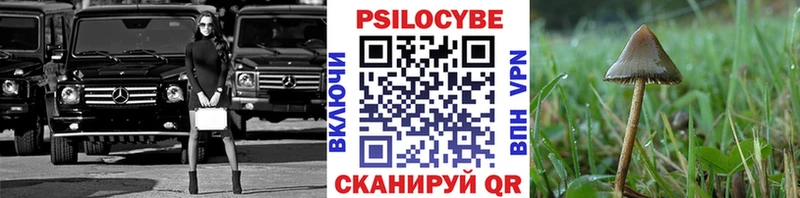 Галлюциногенные грибы прущие грибы  Купить где  Шенкурск 